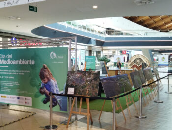 Haz clic en imagen para ampliar