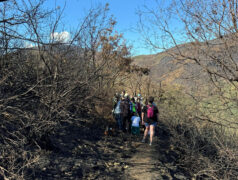 anillo-verde-actividad-10-octubre-2025-5
