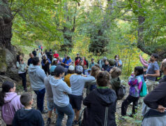 anillo-verde-actividad-10-octubre-2025-6