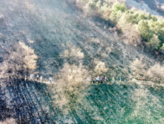 anillo-verde-actividad-10-octubre-2025-7